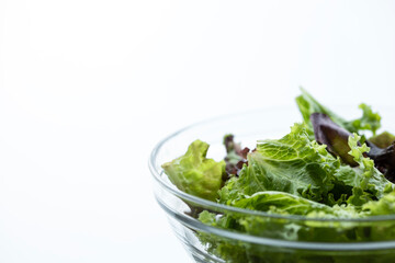 Closeup view of green and purple lettuce leaves in a glass salad bowl with white background and copy space