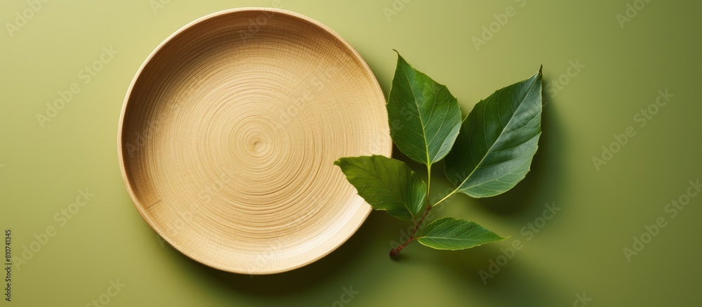Poster eco friendly dish made from natural leaf materials compostable tableware designed to reduce waste in