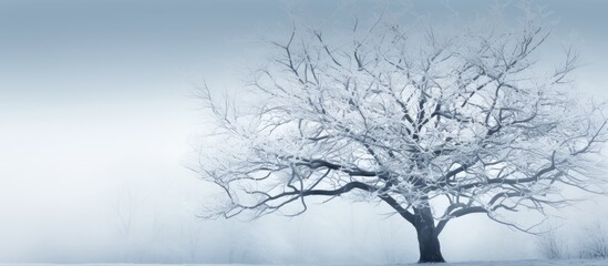 Fototapeta na wymiar A wintry tree adorned with icy branches Copy space image
