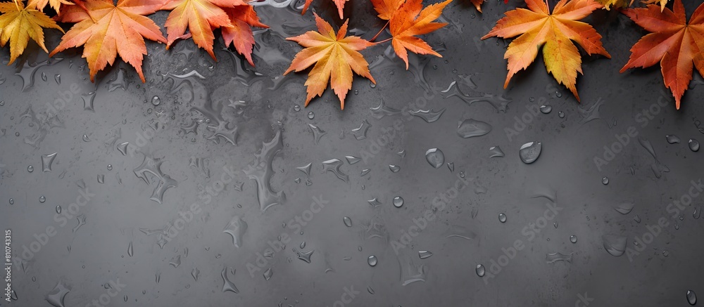 Poster Fall nature background with a copy space image featuring maple leaves in shades of orange and yellow on a gray slate tile