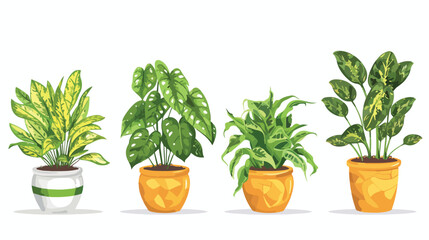 Four of decorative houseplants growing in planters