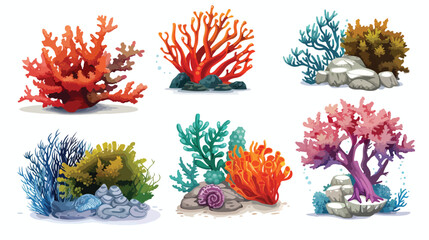 Four of different corals and seaweed or algae isolate