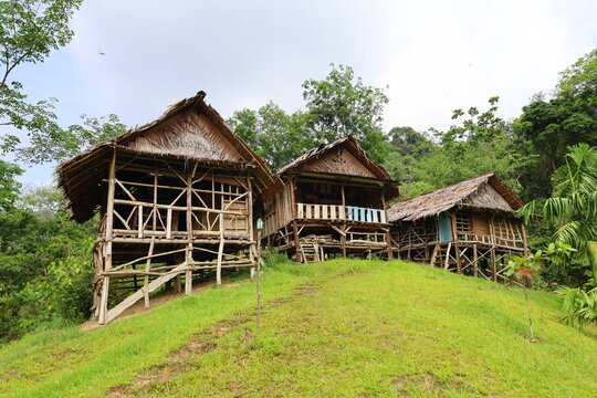 Scenery of lush jungle at Bukit Lawang - Gunung Leuser National Park