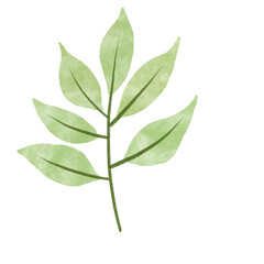 Watercolor illustration of leaf in childish style.