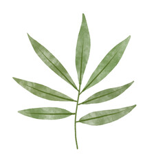 Watercolor illustration of leaf in childish style.