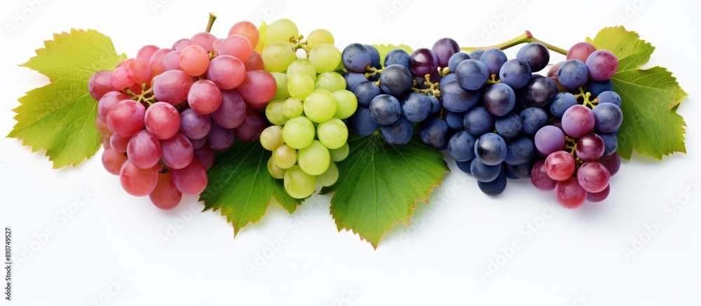 Poster a layout of green pink and blue grapes with leaves isolated on a white background the image includes