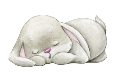 Cute bunny, sleeping, watercolor illustration of a forest animal , on an isolated background.