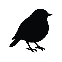 silhouette of a  animal robin on white