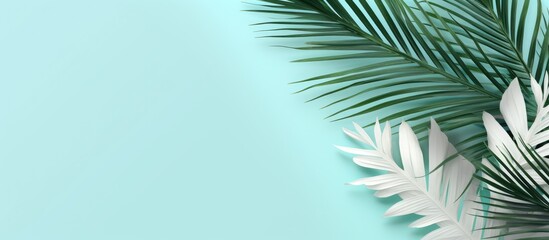 Top view of a summer themed flat lay with white palm leaves on a refreshing mint background The composition evokes the essence of summer offering a copy space image