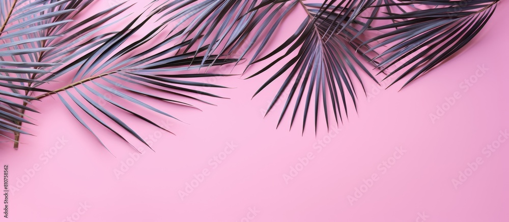 Poster A summer themed image featuring tropical palm leaves is displayed on a pastel pink background creating a vibrant and lively composition The concept captures the essence of summer with a top down view