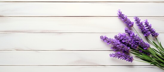 A copy space image showcases a lavender flower in vibrant purple beautifully displayed on a rustic white wooden surface