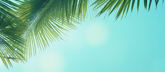 A trendy green and turquoise holiday background featuring palm leaves and branches with a textured copy space image against a mint colored sky evoking the summer and travel concept