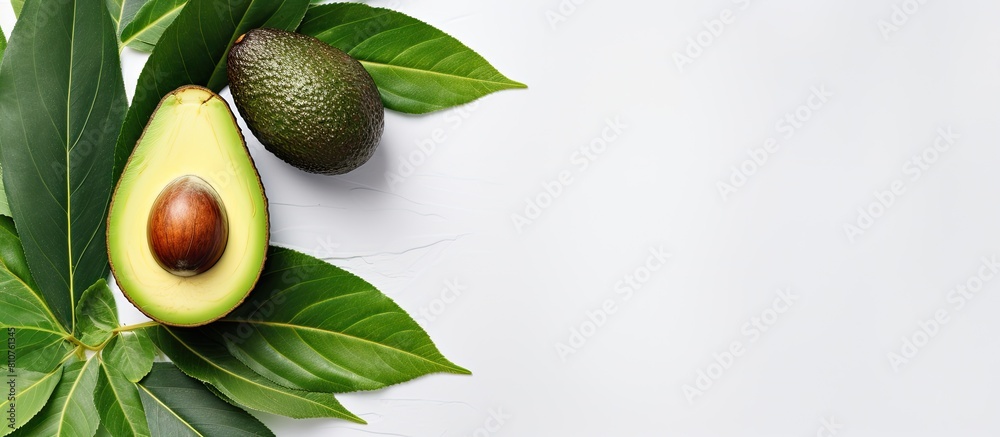 Poster A tropical abstract background featuring an avocado and leaf on a white backdrop Presented in a flat lay style with a top view allowing for copy space in the image