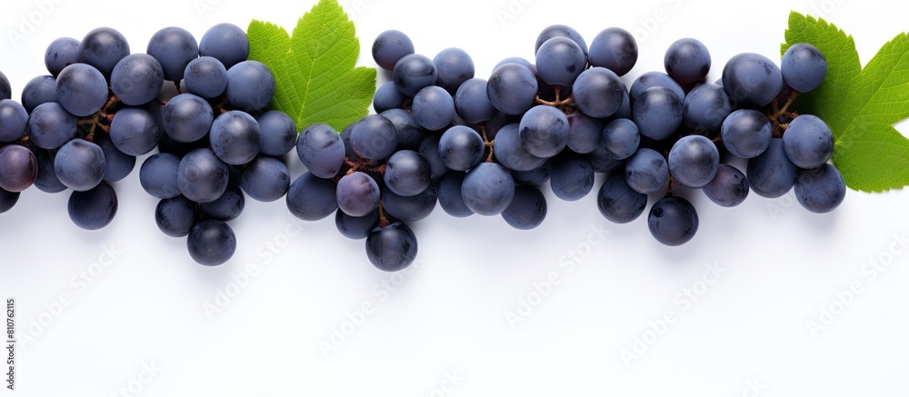 Poster Top view of blue grapes arranged in a flat lay pattern on a white background providing ample copy space for your text