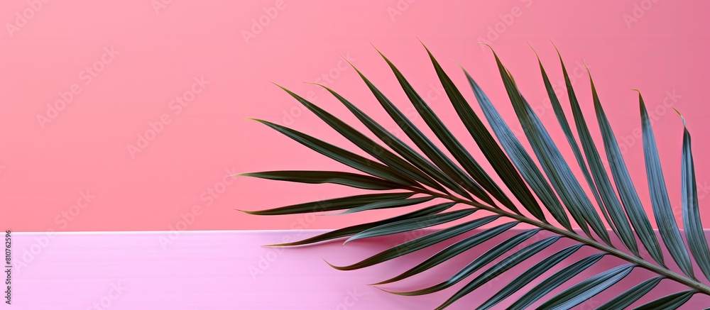 Poster Copy space image of a palm tree leaf against a vibrant pink backdrop