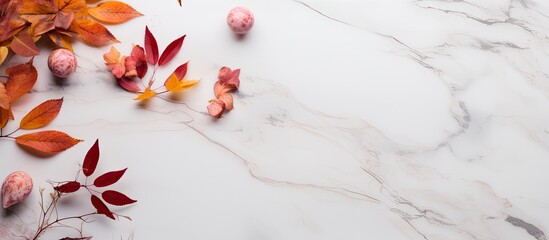 White marble background with autumn natural decor and copy space image