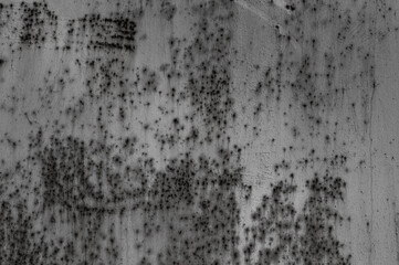 gray texture in the photo of an old iron wall