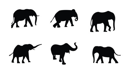 Set of elephant silhouettes in different poses of Africans elephant or jungle elephant and asian elephant with big ears - vector illustration