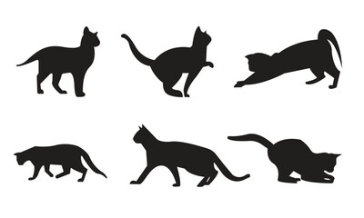 Cat silhouette collection, Kitten silhouette collection, Set of black cat silhouette, Cat silhouette set vector