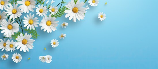 A summer postcard with a delightful meadow of camomiles and daisies set against a captivating blue background The flat lay design leaves ample copy space for creativity