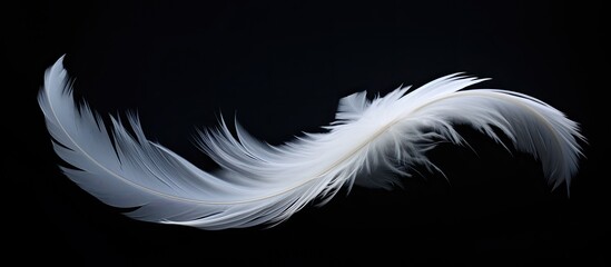 Abstract white feathers gracefully descending in the darkness creating a captivating visual against the black backdrop Ideal for copy space images