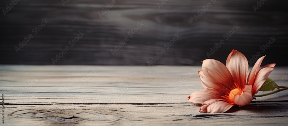 Aufkleber Flower displayed against a rustic wooden backdrop with plenty of empty space for text or graphics in the image. Creative banner. Copyspace image