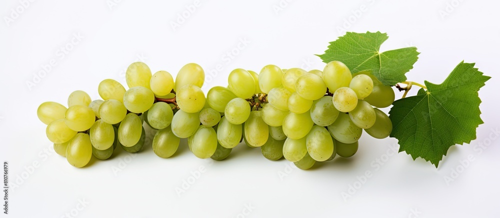 Poster a copy space image featuring green grapes on a white background