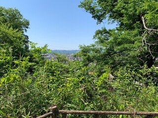 佐野城跡の景色