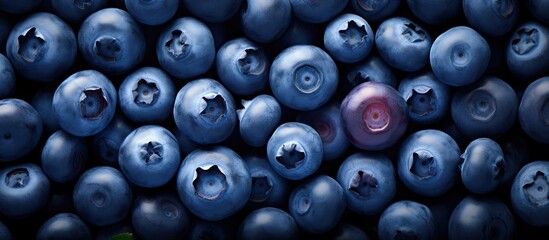 A vibrant background of fresh juicy blueberries arranged in a flat lay view with plenty of copy...