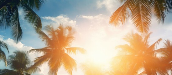 The vibrant sunlight filters through the swaying palm trees casting a picturesque scene with a serene and tropical ambiance. Creative banner. Copyspace image
