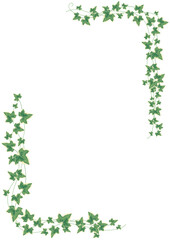 アイビーのフレーム_タテ_白02