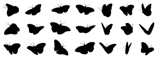 Butterfly illustrations isolated on transparent background, silhouette illustration