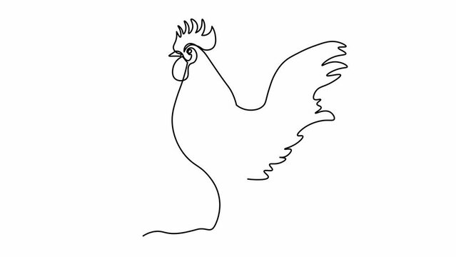 Self drawing animation one continuous line draw, logo,abstract Cock,rooster