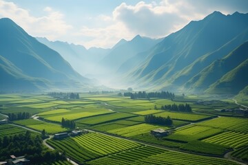 North Korea landscape. Verdant Valley: Lush Green Fields Between Majestic Mountains at Dawn.
