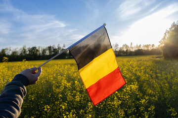 German flags against the backdrop of a blooming rapeseed field and blue sky. National symbol of...