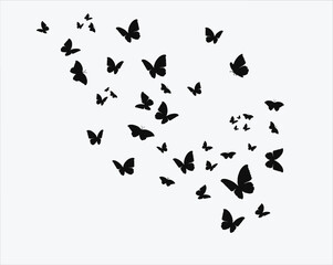 flock lack butterflies design 