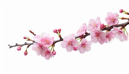 AI generated illustration of cherry tree blossoms in full bloom