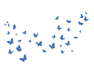 pink butterfly on white background	