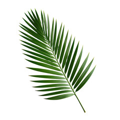 Palm Leaf, Generative AI