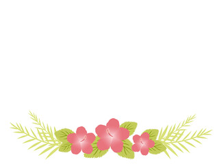 ハイビスカスのイラストのフレーム