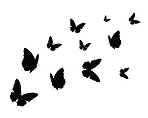butterflies silhouettes set black vector