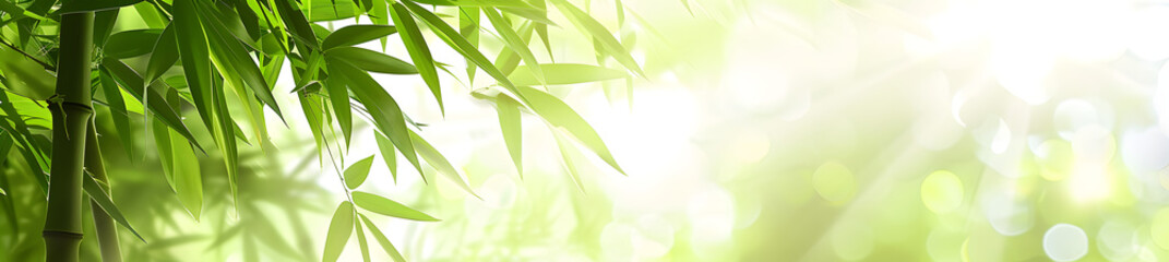 Fototapeta na wymiar green bamboo leaf background
