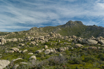 landscape, view, mountains, spring, nature, plants, spain, green