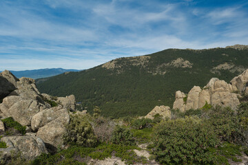 landscape, view, mountains, spring, nature, plants, spain, green