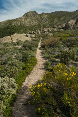 landscape, view, mountains, spring, nature, plants, spain, green