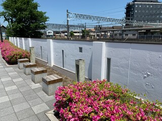 Fototapete bei efototapeten.de bestellen   