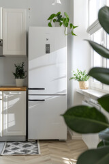 Scandinavian minimalist kitchen with daylight. White furniture, refrigerator, stove with utensils, plants.