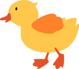 Duckling Illustration