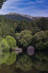 landscape, view, mountains, spring, nature, plants, spain, green