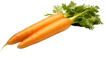 Two fresh orange carrots with green leaves isolated on transparent background